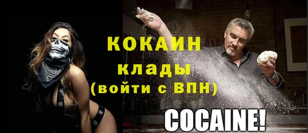 мяу мяу мука Няндома